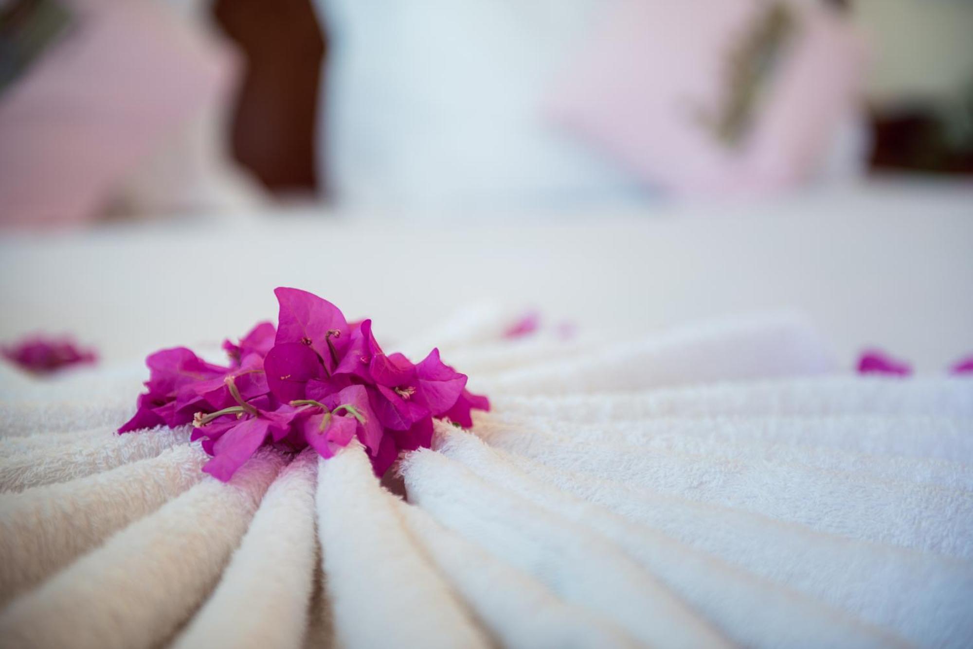Seng Hout Hotel Battambang Zewnętrze zdjęcie